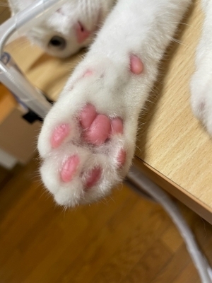 20240912_4.jpg