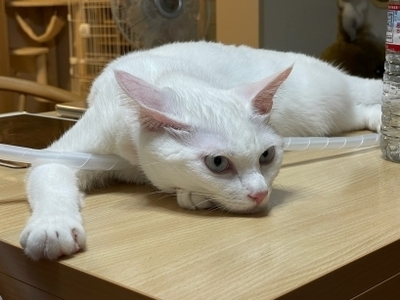 20240912_5.jpg