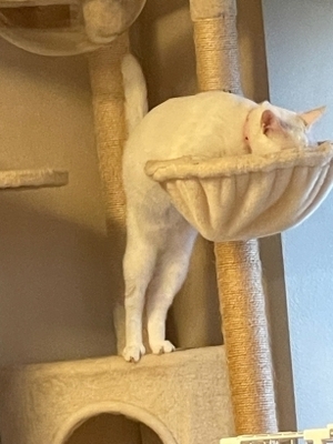 20241005_31.jpg