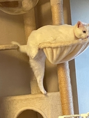 20241005_32.jpg