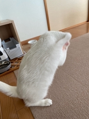 20241027_3.jpg