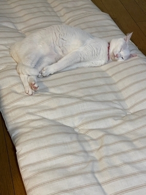 20241027_5.jpg