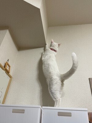 20241124_1.jpg