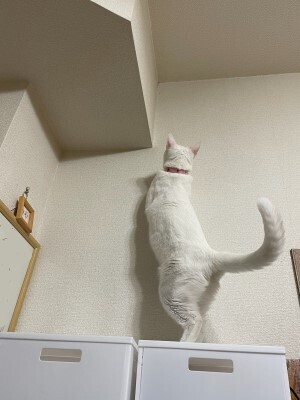 20241124_2.jpg
