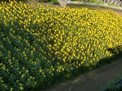 CIMG5022.jpg