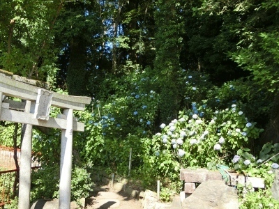 CIMG7849.jpg