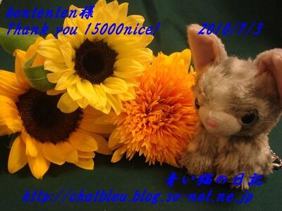 ChatBleu_15000nice.jpg