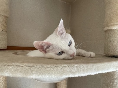 IMG_1956.jpeg