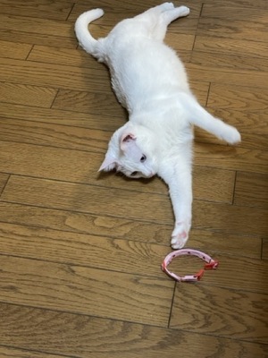 IMG_2024.jpeg