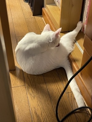 IMG_2502.jpeg