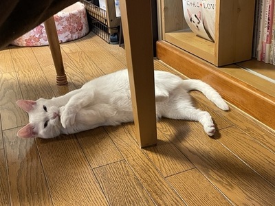 IMG_2508.jpeg