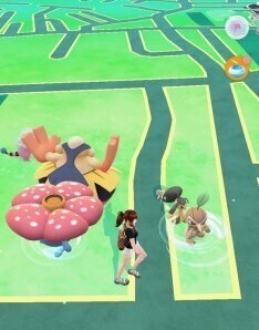 pokego_230720.jpg