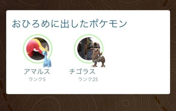 pokego_230727.jpg