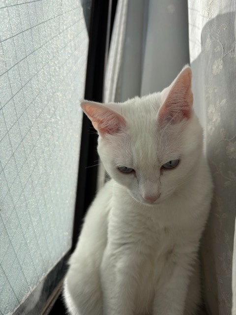 IMG_7952.jpeg